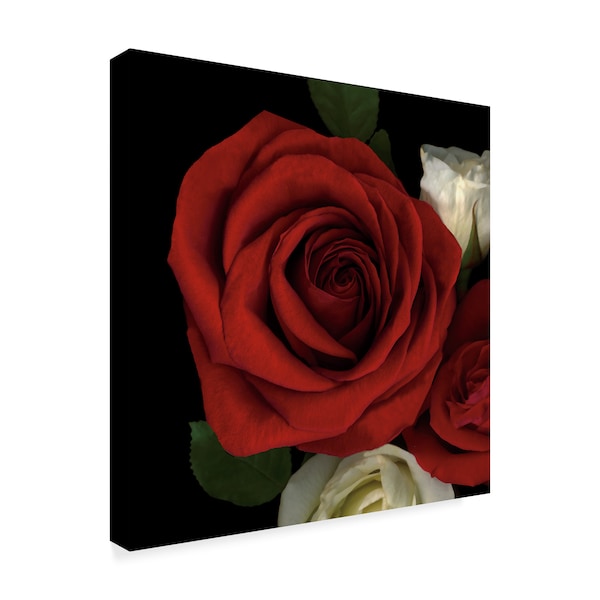 Susan S. Barmon 'Red Rose' Canvas Art,24x24